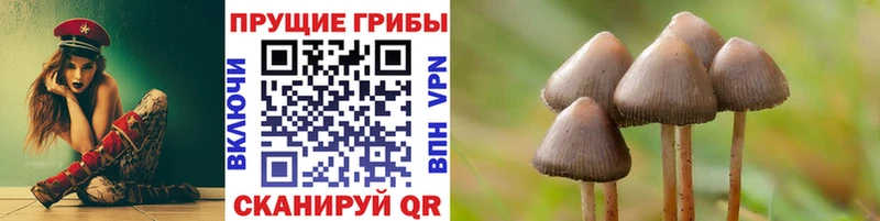 Купить где  Смоленск  Галлюциногенные грибы ЛСД 