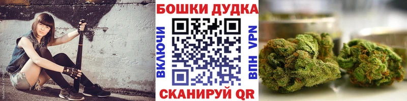 Купить где  Смоленск  Шишки марихуана индика 